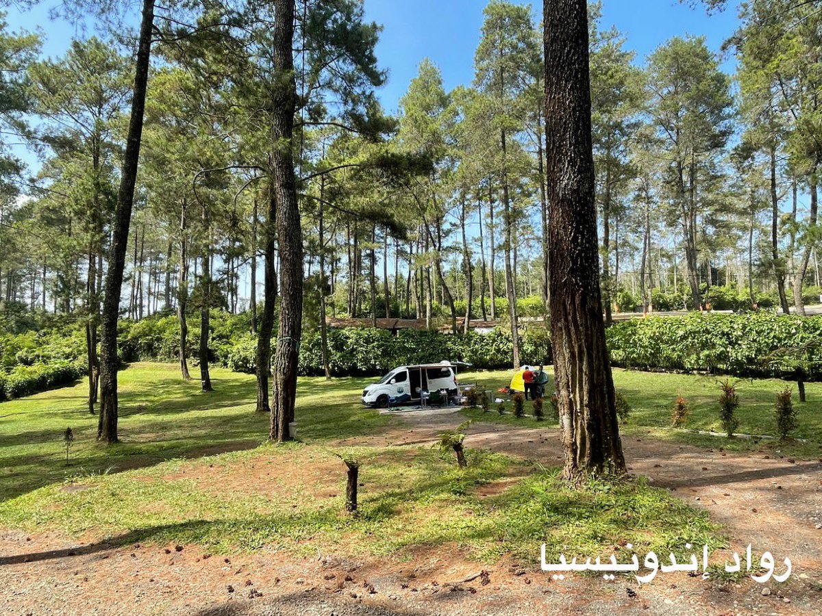 رواد اندونيسيا🇮🇩 tweet media