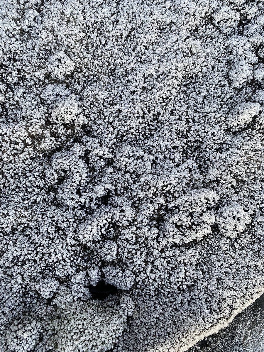 Dr Emily Lethbridge tweet media