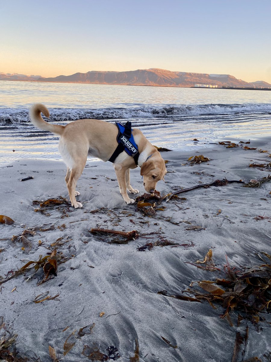 Dr Emily Lethbridge tweet media