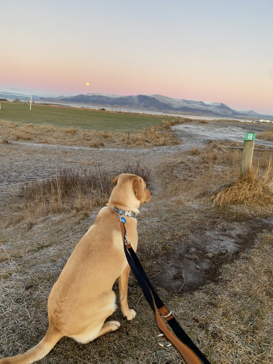 Dr Emily Lethbridge tweet media