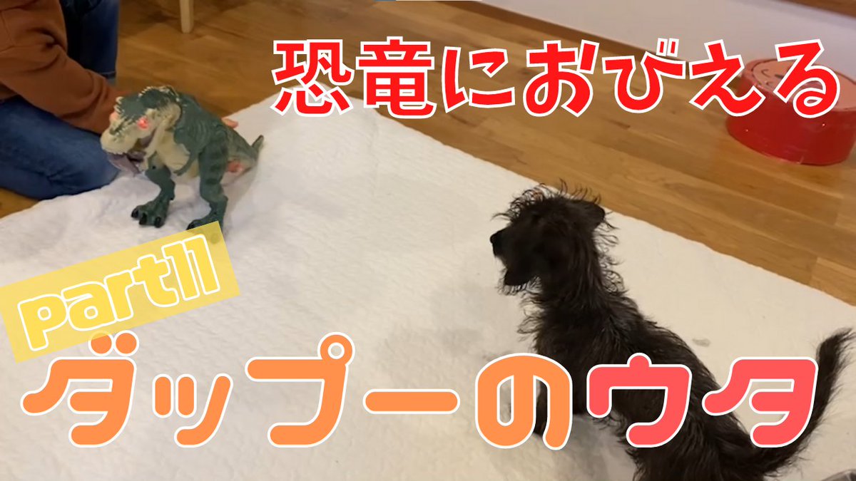 ダップーのウタ tweet media