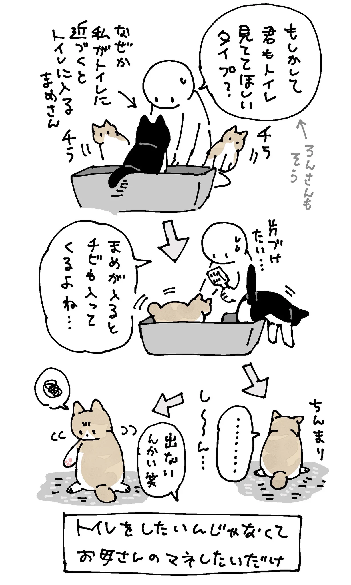 お母さん猫の真似をする子猫！可愛すぎる猫漫画が話題に！