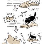 お母さん猫の真似をする子猫!可愛すぎる猫漫画が話題に!