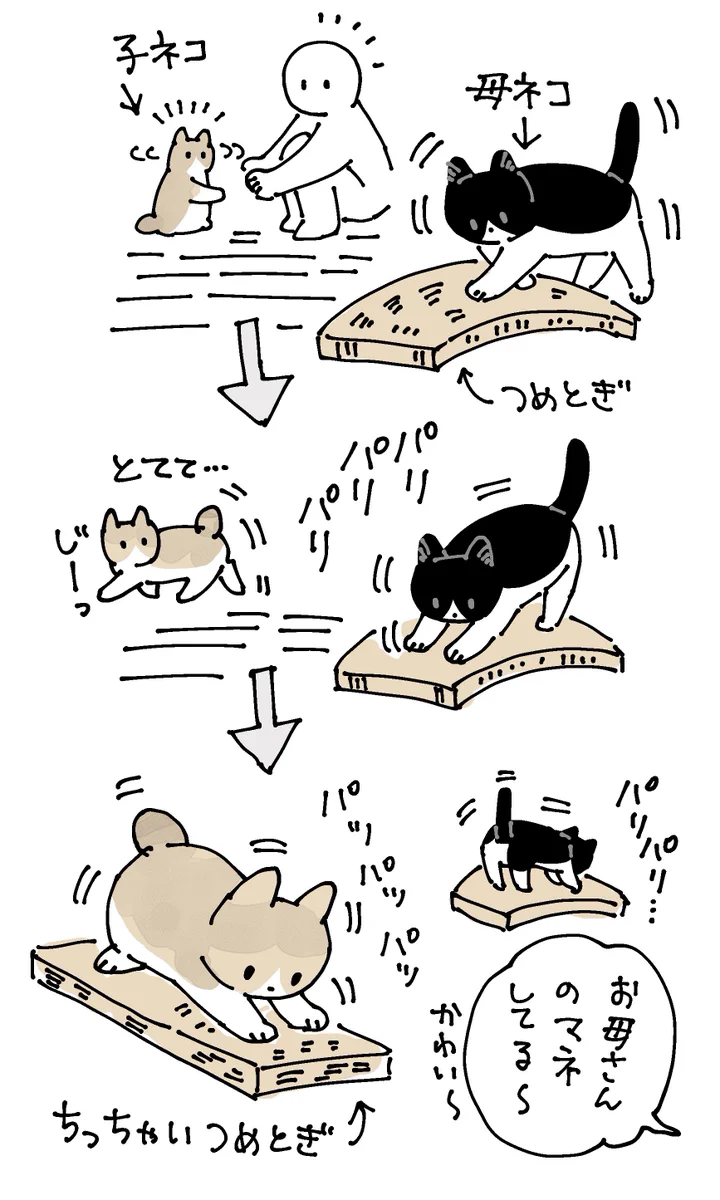お母さん猫の真似をする子猫！可愛すぎる猫漫画が話題に！
