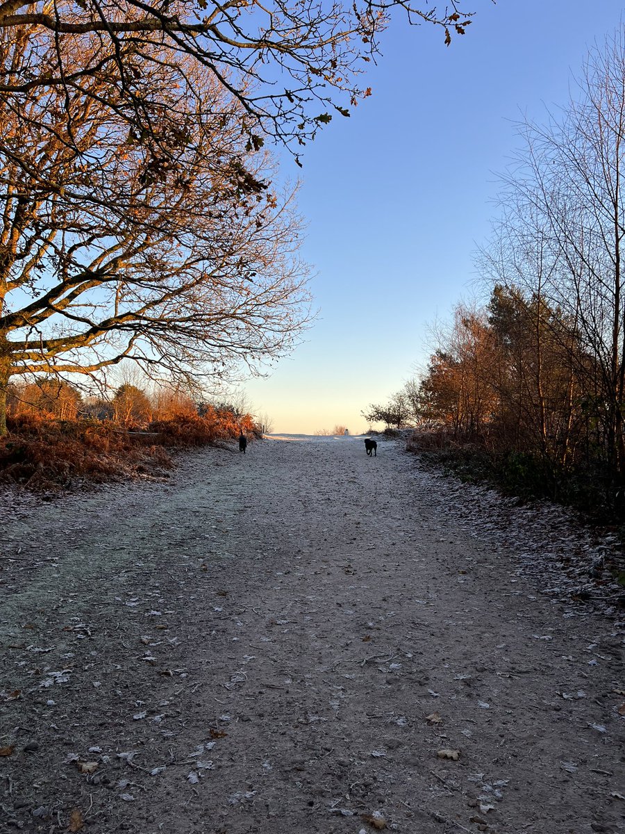 GailB64's tweet photo. Beautiful start to the day with the wonderful @daviejones67 #frostymorning #beautiful #dogwalking https://t.co/rLBvzerR4O