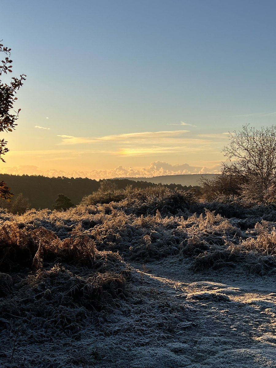 GailB64's tweet photo. Beautiful start to the day with the wonderful @daviejones67 #frostymorning #beautiful #dogwalking https://t.co/rLBvzerR4O