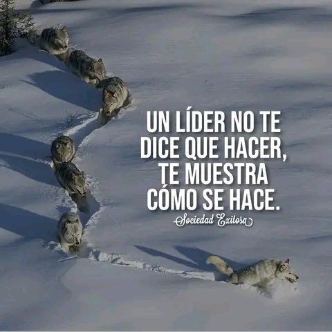 amable0202012's tweet image. 