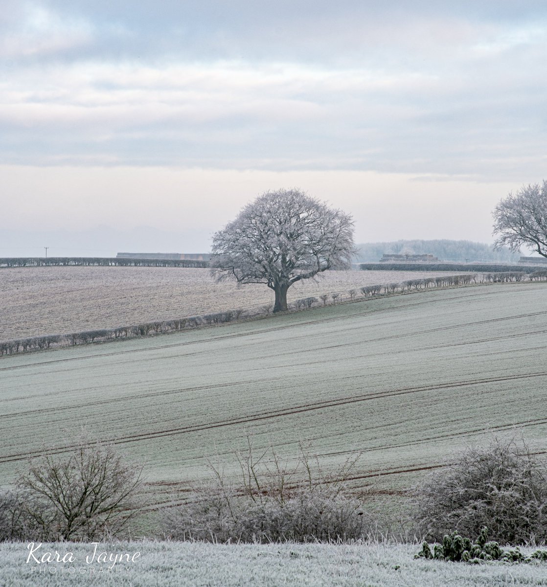 Frosty Morning in the Lincolnshire Wolds #LincolnshireWolds #Photography