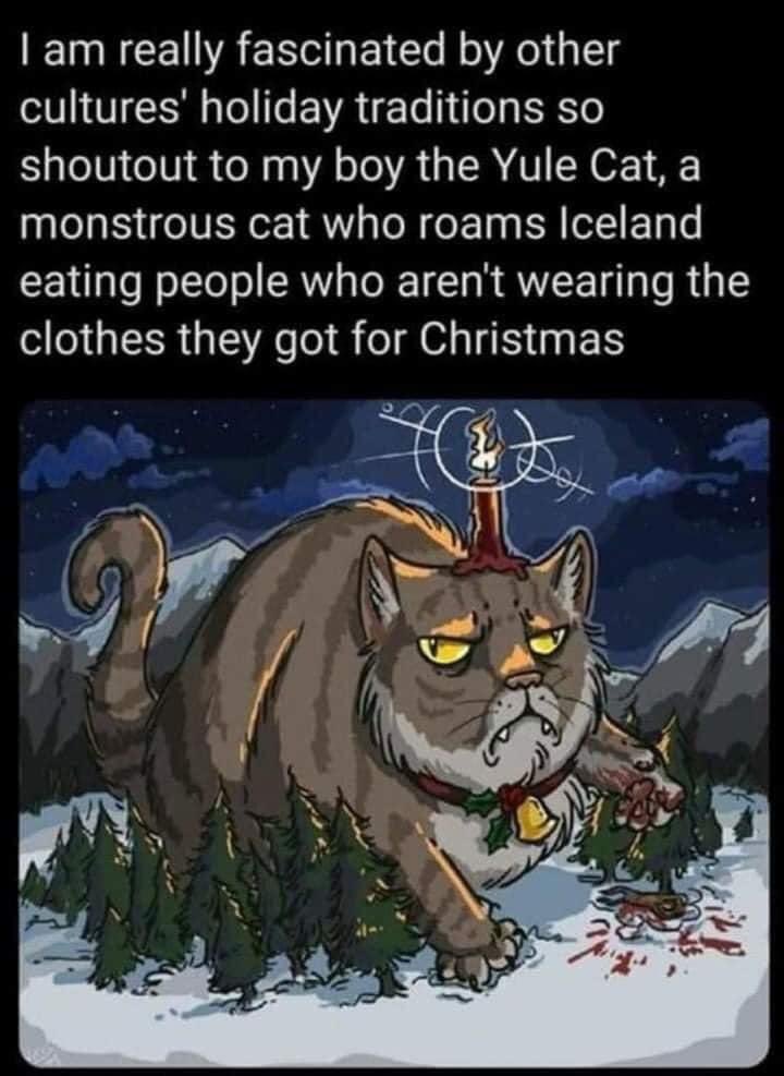 Good Morning #HorrorFam 🖤
Have a Yuletide #Caturday 🐾🎄