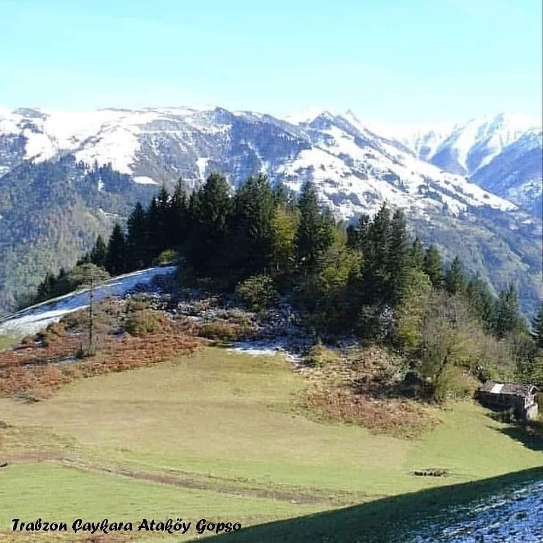 UGopso's tweet photo. #Türkiye
#Trabzon
#Çaykara
#Ataköy
#Uzungöl https://t.co/7VnLGSHzcS