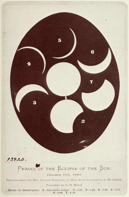 vexcavator's tweet photo. Phases of the Eclipse of the Sun, 11 January 1880
Eadweard Muybridge
#TheVorrh #BrianCatling #BCatling https://t.co/7LuKrzjQmD