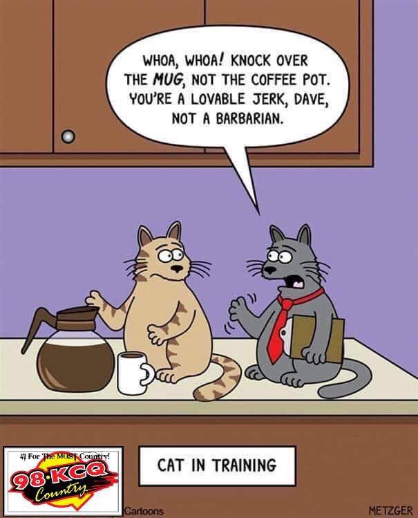 98 KCQ (@98fmkcq) on Twitter photo 