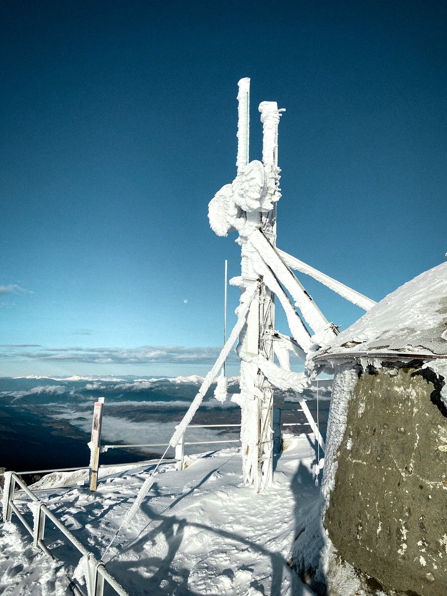 Biel Ràfols tweet media