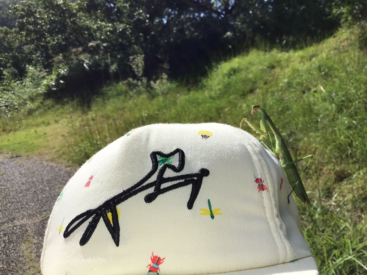 InsecterCatch's tweet photo. 子供のお気に入りの帽子とオオカマキリ😇
こんな感じの帽子はなかなかないので、新作を期待😆
#虫取り #虫捕り物語 #カマキリ #INSECTMARKET https://t.co/RUys3pVEAq