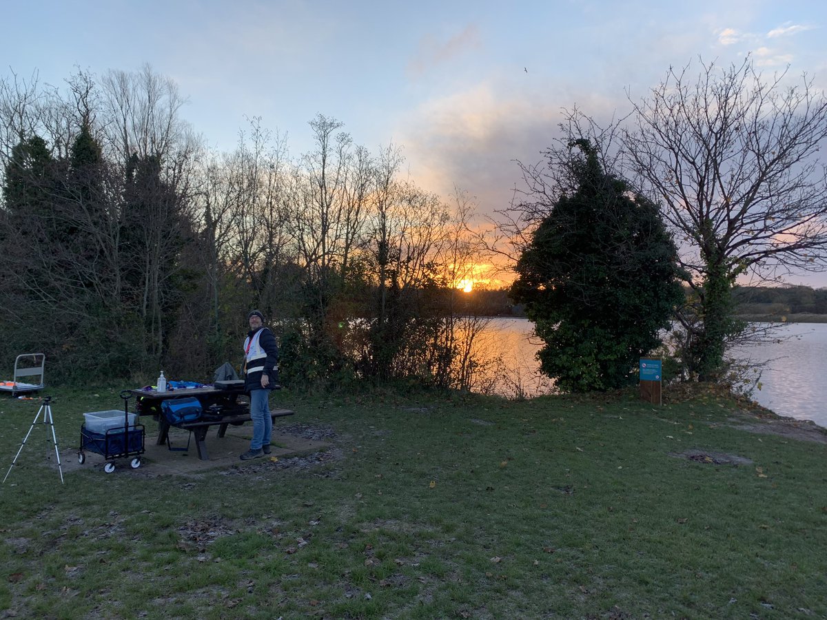 Sunrise over the the lake (and Run Director) this morning.