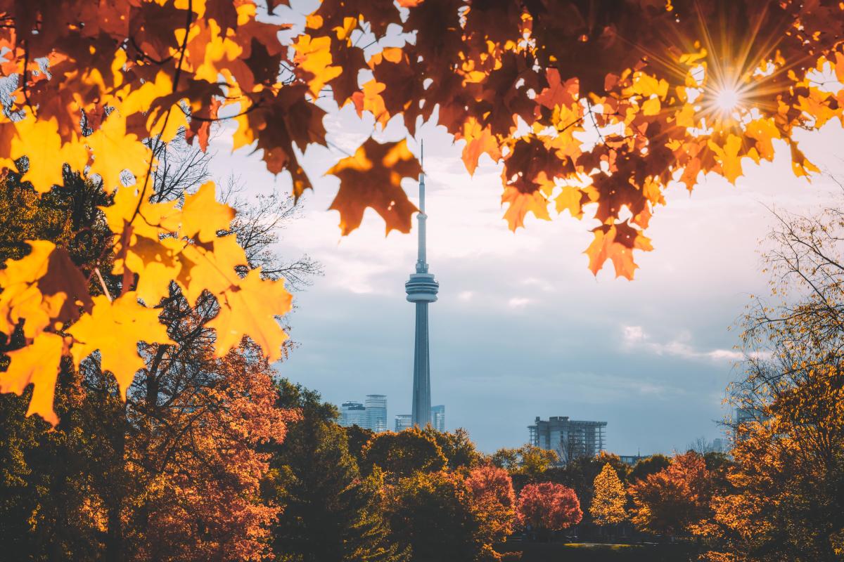 🍂🍁Attending ICS 2023 from 27-29 September will allow you to witness Toronto’s world-famous autumn colours. Read more here - ow.ly/bTC950LZcKX #ICSMeeting