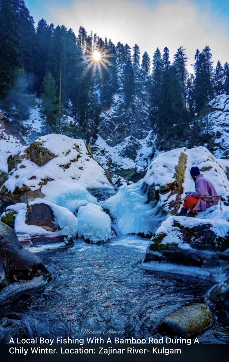 #Sun #Snow #Water #Willow #Srinagar🍁 #Kashmir🛶 #Billow⚛️ @JandKTourism welcomes you all 🇮🇳🕊🇮🇳