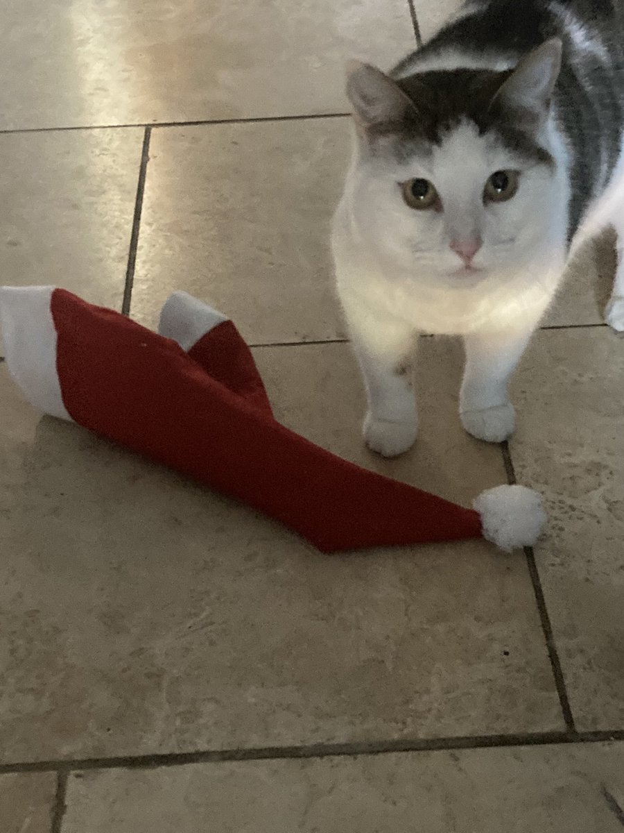 Chris Sudworth tweet media