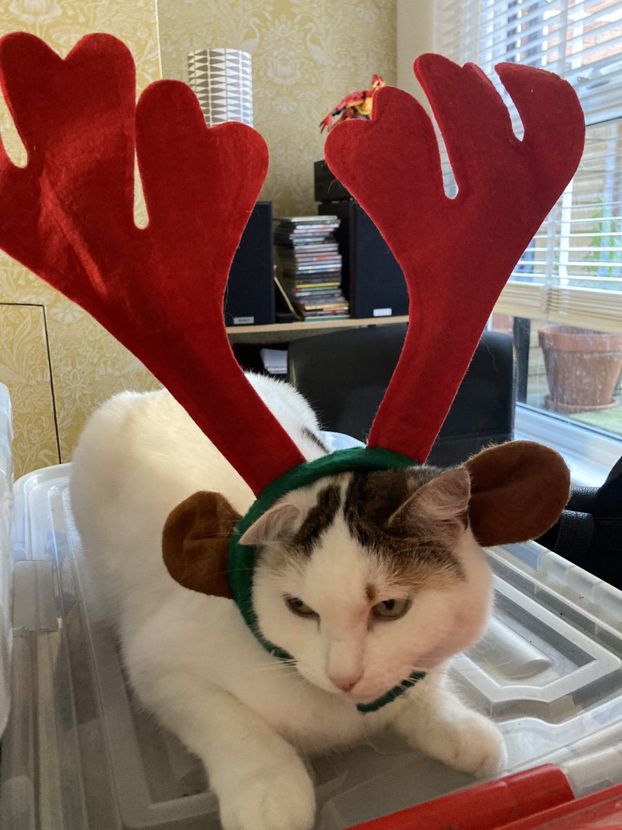 Chris Sudworth tweet media