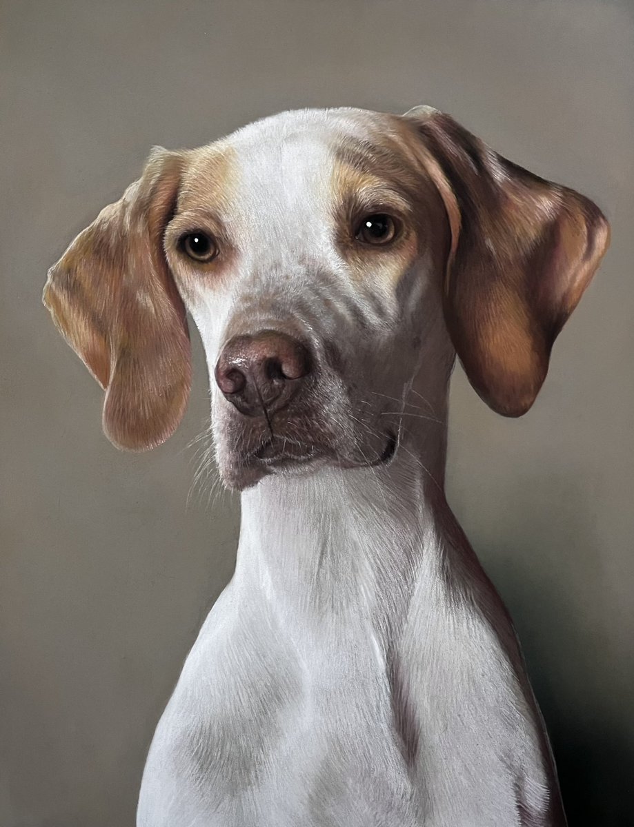 This cutie about done aside from the usual clean up. Pastel pencils and soft pastels on pastelmat. Hope everyones well and having a great weekend.🙂
#art #portrait #dogportrait #realismart #realismartist #painting #paintingsdaily #pastelart #fabercastell #softpastels #artlover