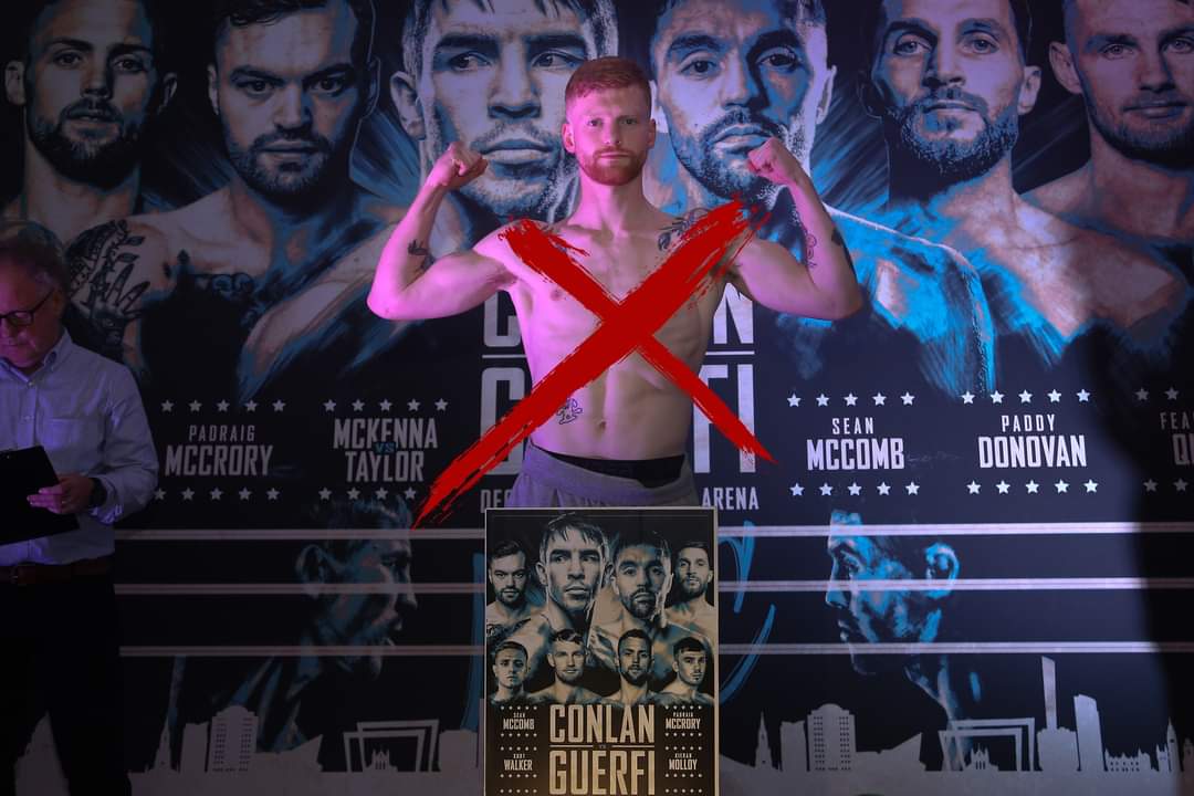 Boxing Hub Belfast tweet media