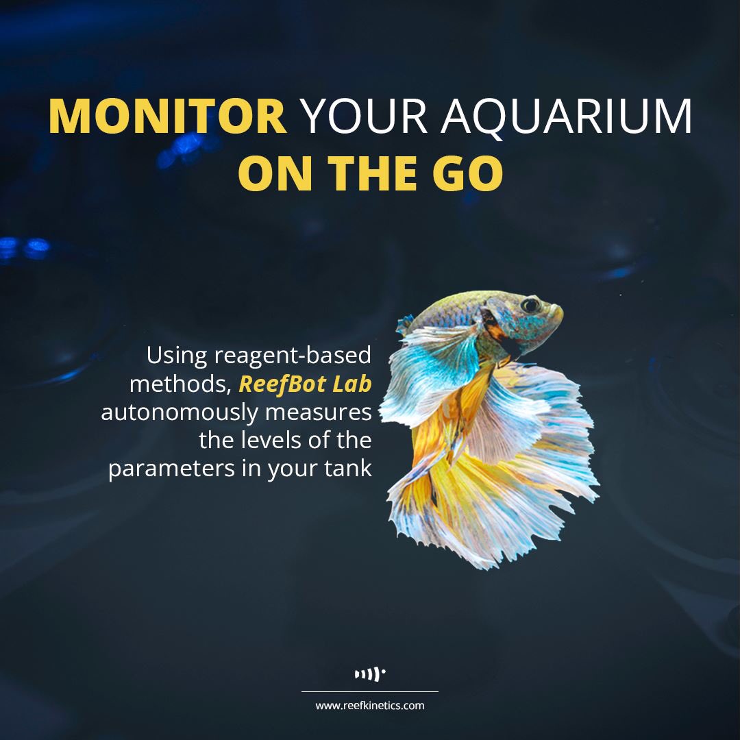 Reef Kinetics tweet media