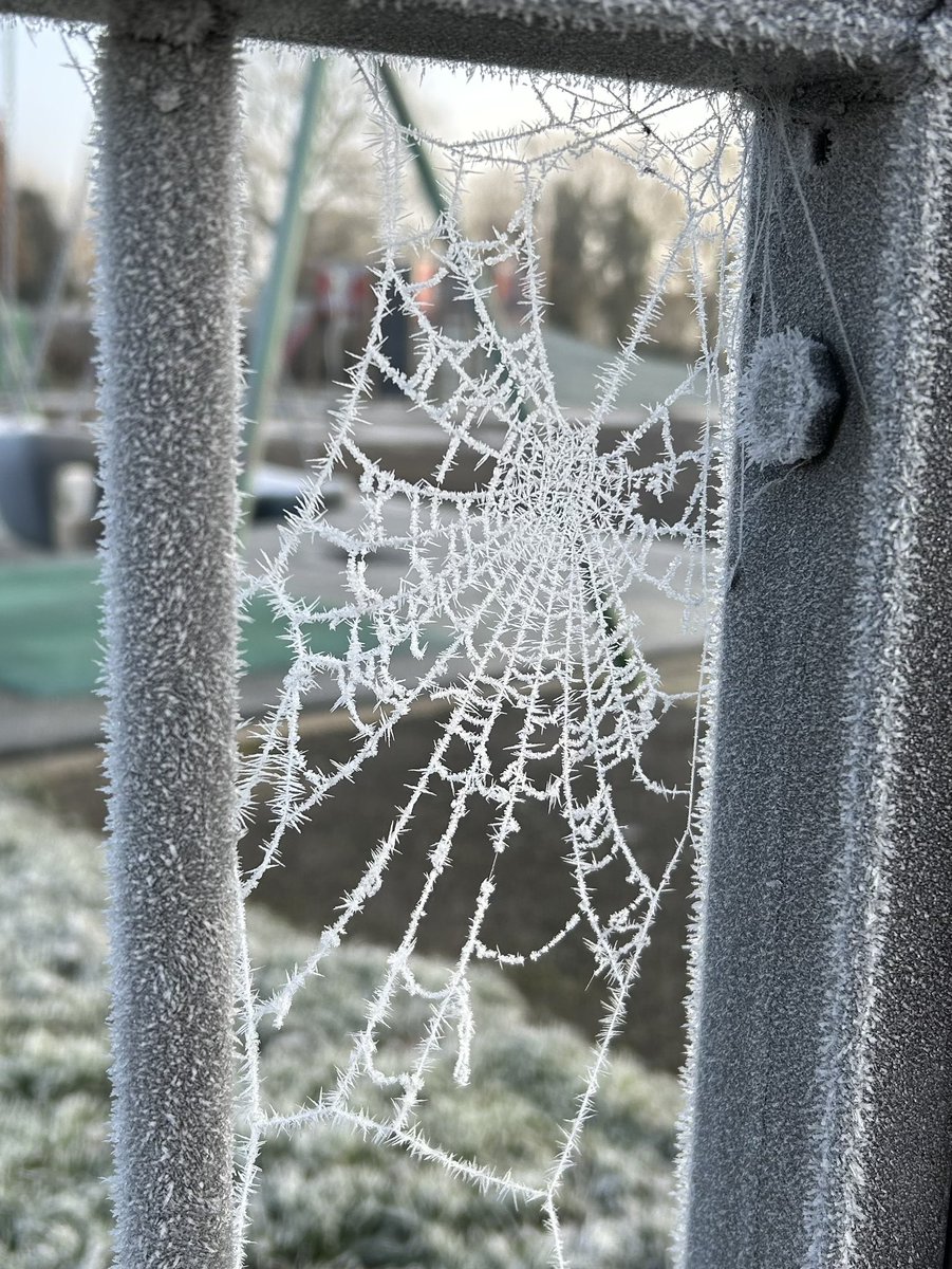 mattypitman's tweet photo. Beautiful morning 🥶❄️ https://t.co/hfZNbXMrYX