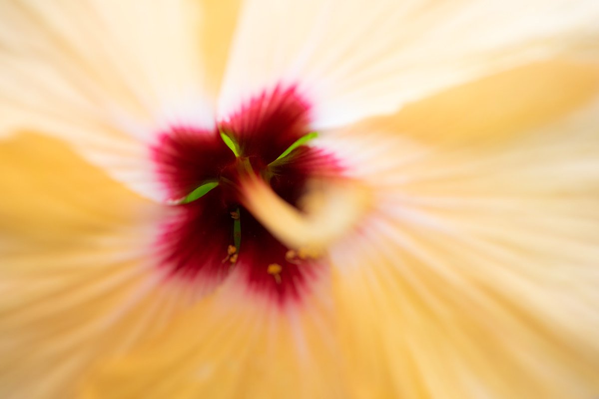 Oliver Friedrich @olfriedrich.bsky.social tweet media