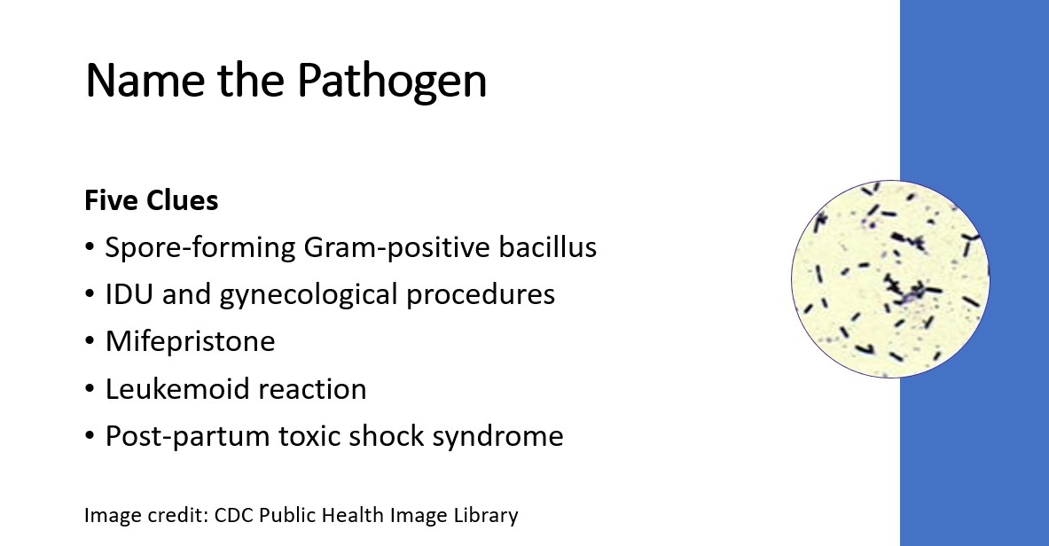 Mayo Clinic Infectious Diseases tweet media