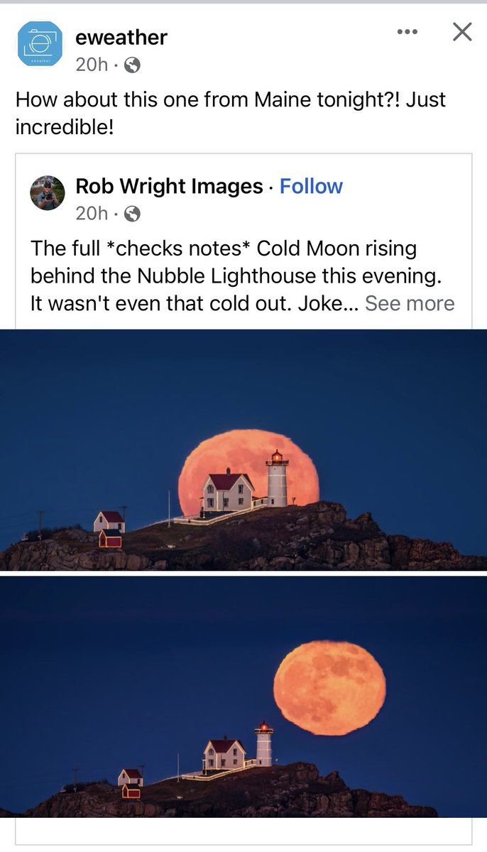 Kathleen Foley tweet media