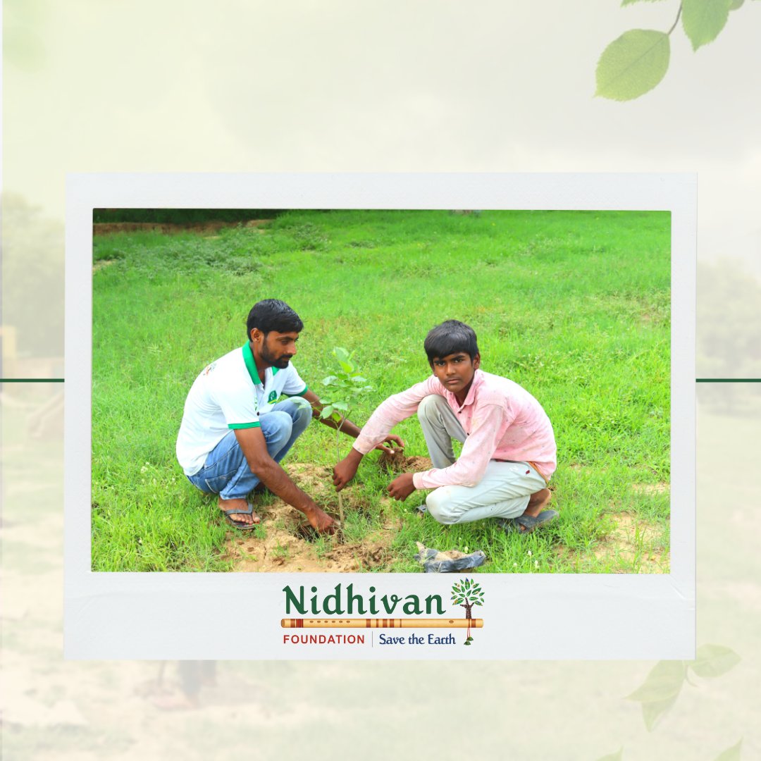 'Planting a tree is much better than wearing a mask to be safe from pollution.” . . . . . . #tree #trees #treeplanting #treeplantation #treeplanters #treelife #treeourlife #ngo #ngoindia #nidhivanfoundation #support #instagram #insta #treephotography #savetrees #saveearth