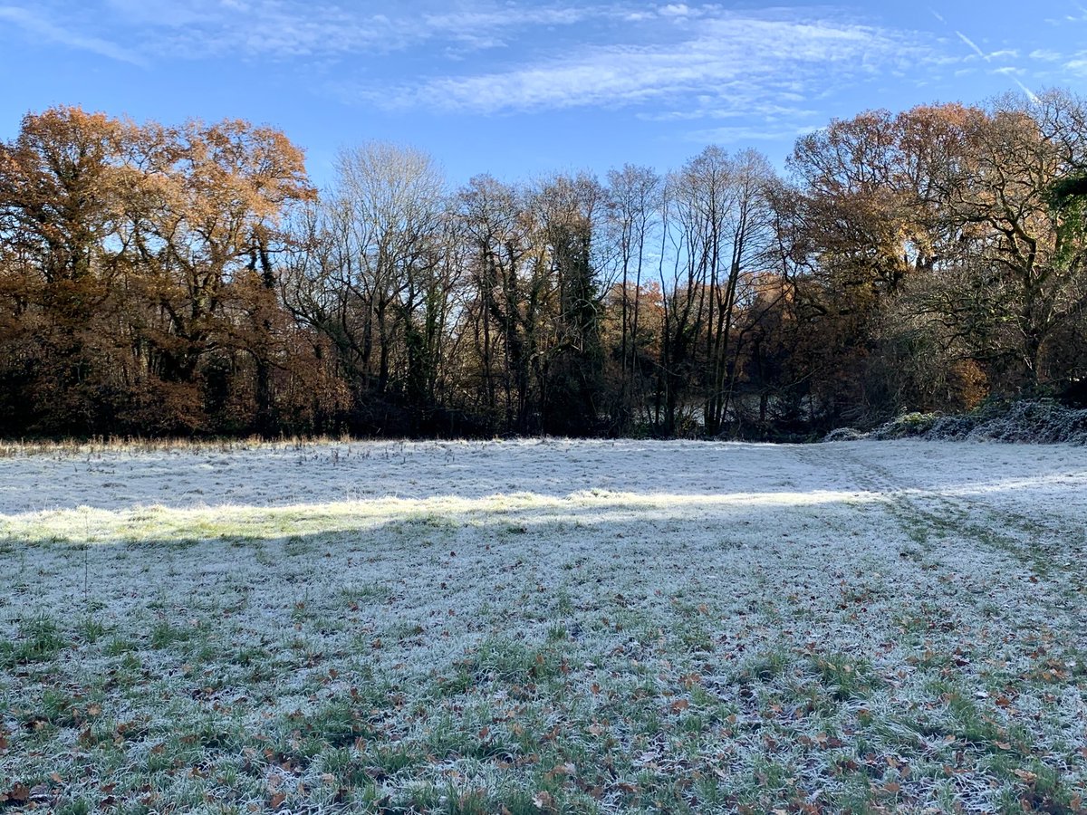 Swan Barn Farm looking beautiful as usual. ⁦<a href="/southeastNT/">National Trust South East</a>⁩ #Haslemere