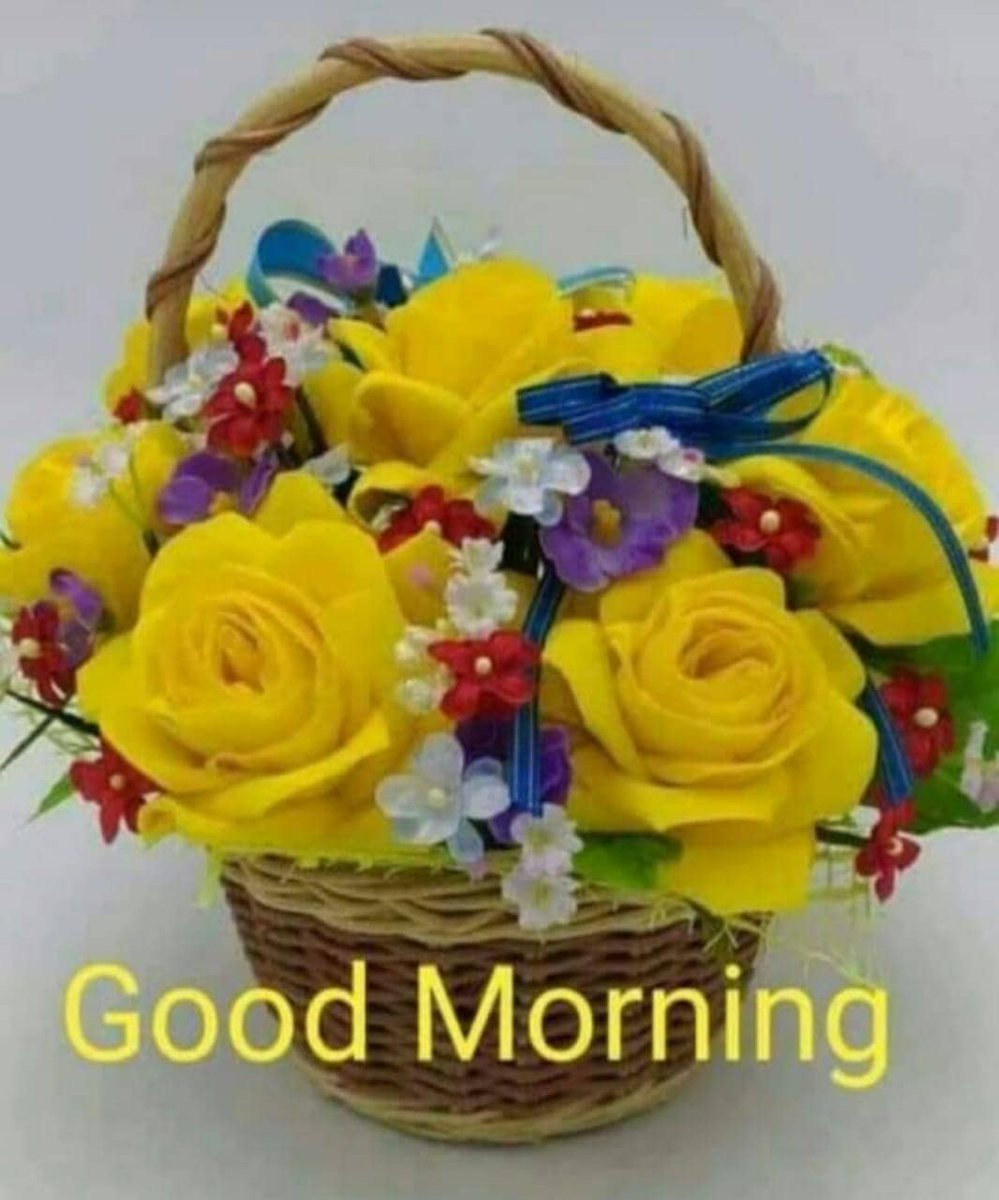 💚 Good Morning Images Of Flowers. Download our GOOD MORNING app 👉  https://t.co/O2DU18aNGo 👈 #goodmorning #goodmorningquotes  #goodmorningimages, image size:999x1200