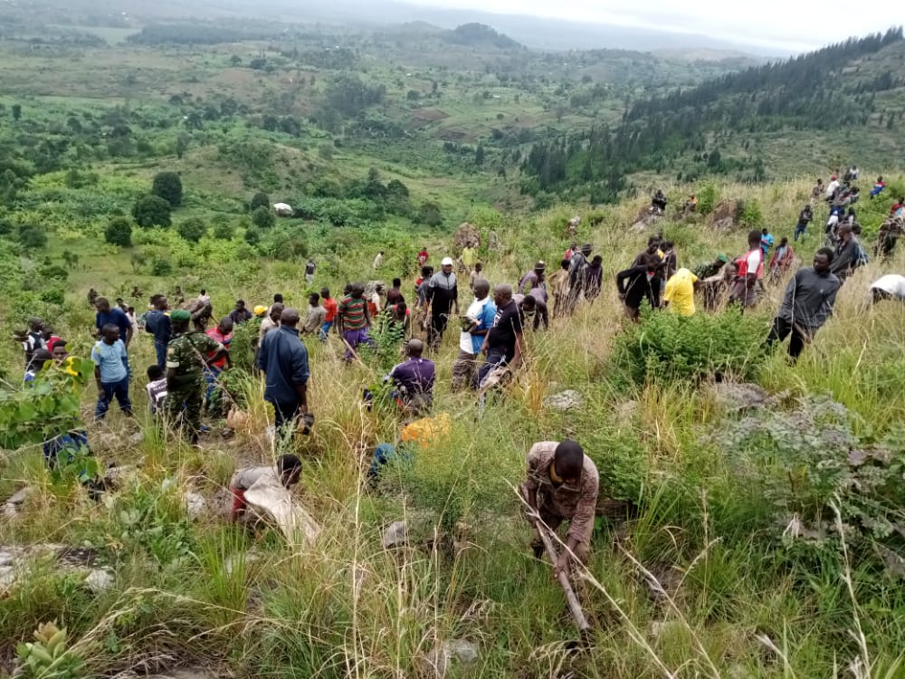 Tabemmerencie1's tweet photo. #Burundi Kabaye n'akaryo ko gusaba abenegihugu mwese bo mu Ntara ya @RuyigiProvince guca muja ku kivi mutere imivyaro y'ibiti,igihe kitararengerana,birahari  vyarateguwe ubu biri  mu mamatuta.Nkabasaba kandi kubandanye mukingira ivyatewe. https://t.co/72GsPSBd2o