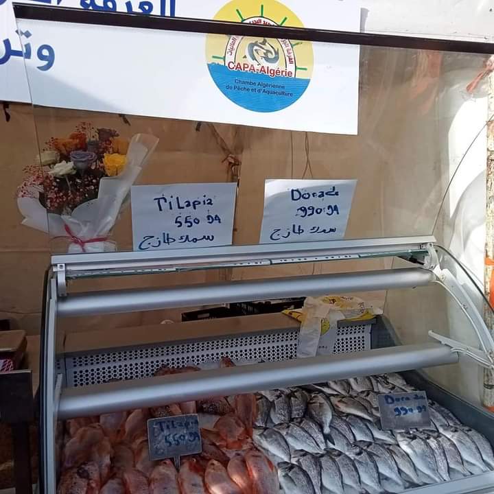 profsalaouatchi's tweet photo. رغم سوء الأحوال الجوية و صعوبة الملاحة و الصيد البحري هذه الأيام،  التي تؤثر على وفرة انتاج الصيد البحري، 
و كنموذج قابل للتعميم على نطاق واسع، منتجات تربية المائيات بنمط تسويقي مبتكر تمثل البديل الحقيقي لتوفير القيمة الغذائية السمكية لتغطية الطلب السوقي. https://t.co/Id0kDSA4TH