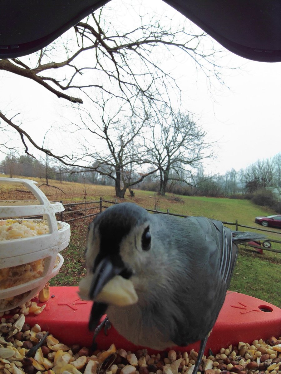 Jason Kluk tweet media