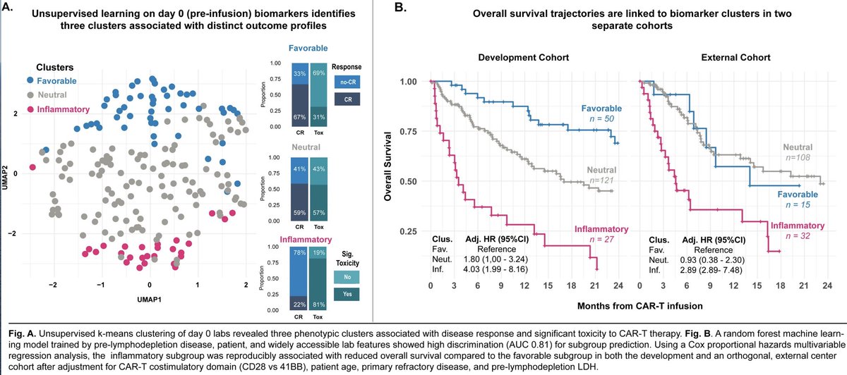 vandenBrinkLab's tweet photo. Today at #ASH22 ➡️ Inflammatory #biomarker clusters are predictive of response and #toxicity in large B-cell #lymphoma treated with CD19 #CART cell therapy. @SSRaj017 👏 https://t.co/fWDTwOF2c0