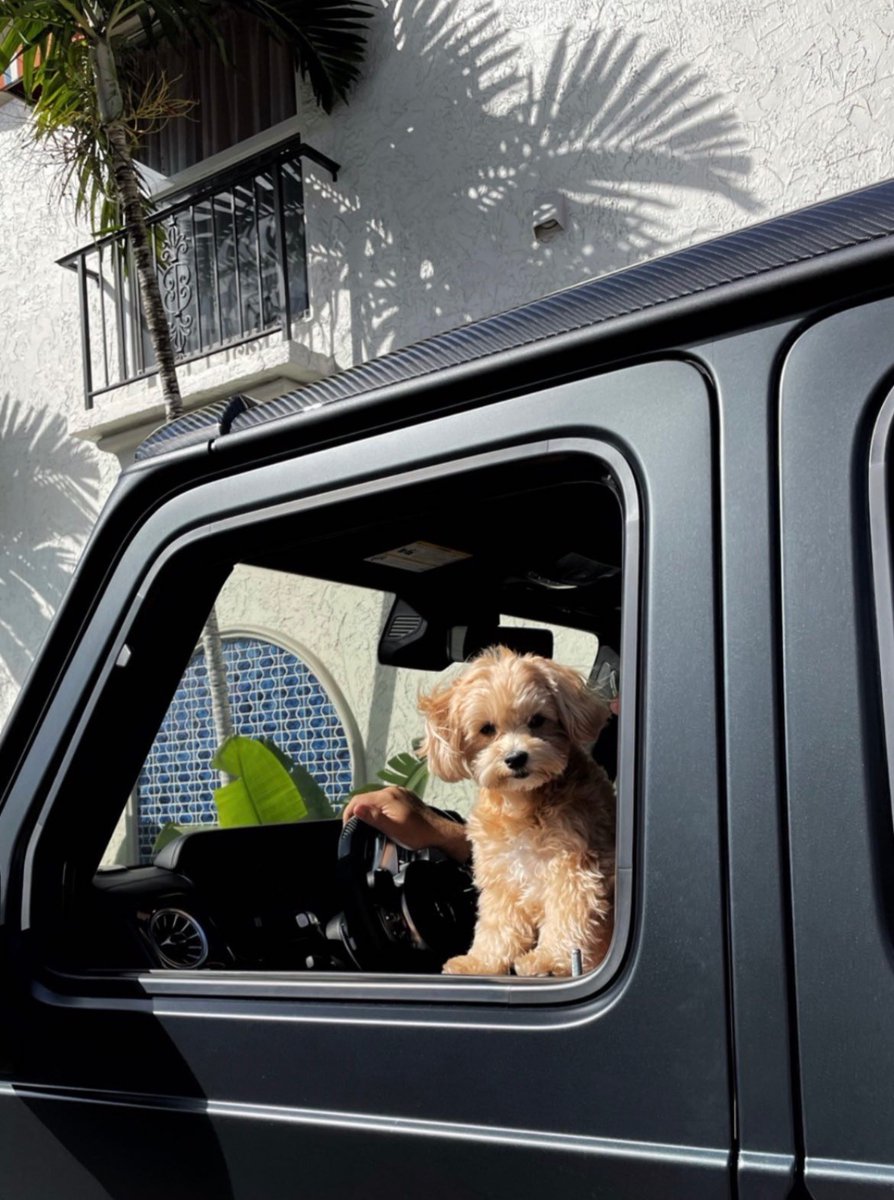 DRIP (@dript3r) on Twitter photo 