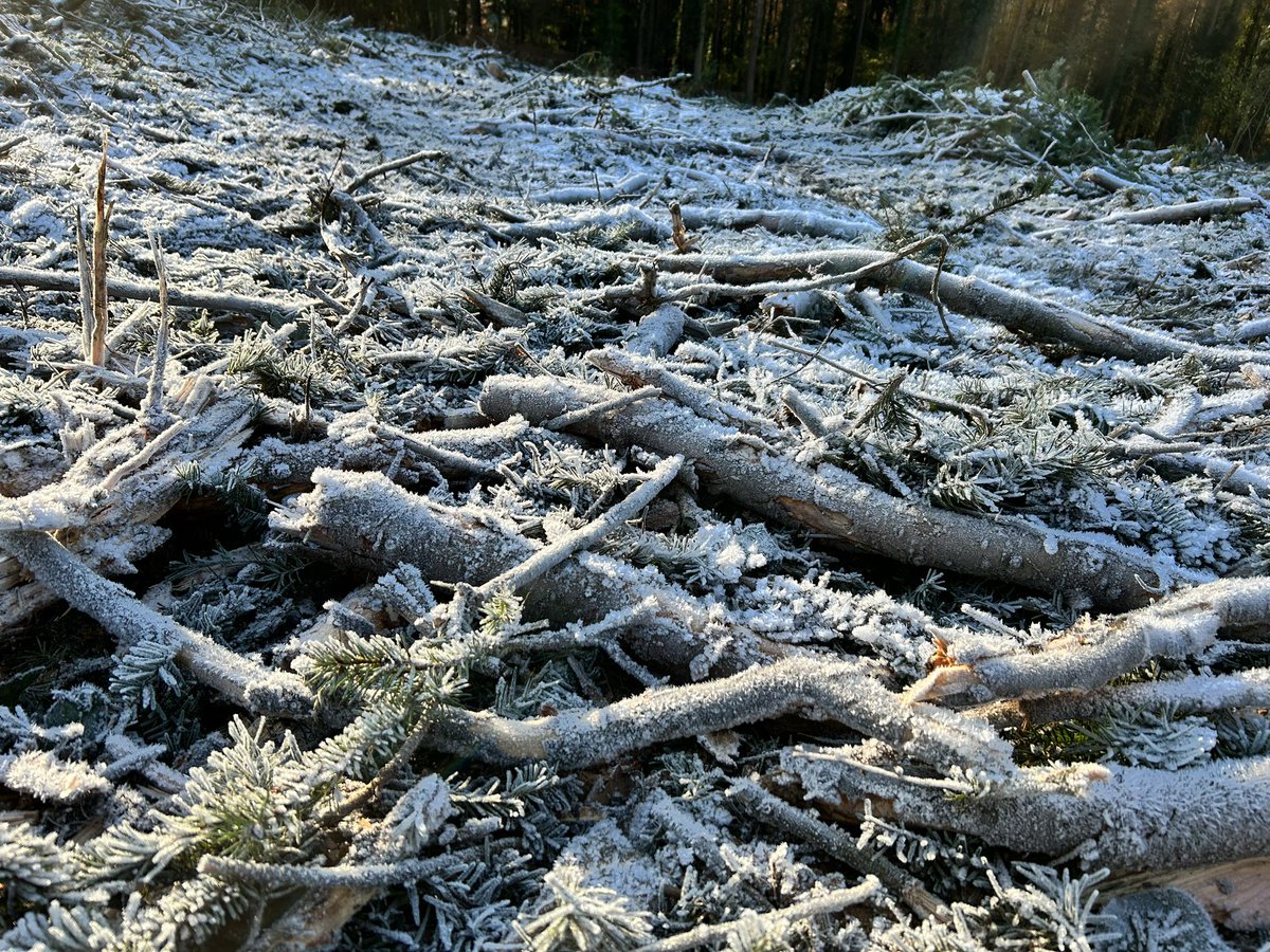 P_HEDGEHOG's tweet photo. Only had a couple of hours to ride today. Think we made the most of the frosty conditions.
Like summer from the axles down 😄 #mtb #penyard https://t.co/ZfuFdu7PH4