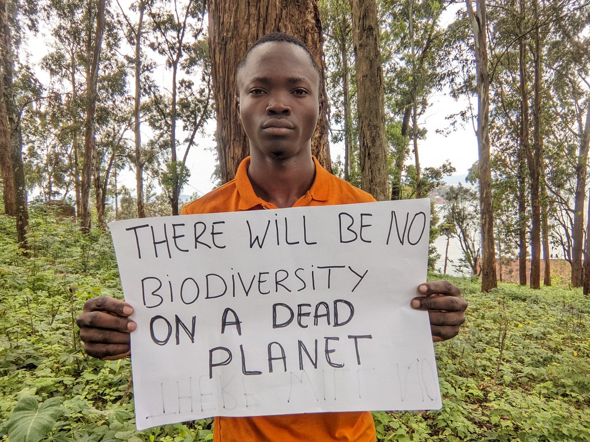 There will be no biodiversity on a dead planet. It's important and emmergency to cut down emissions now. #COP15 @COP27P #ClimateEmergency