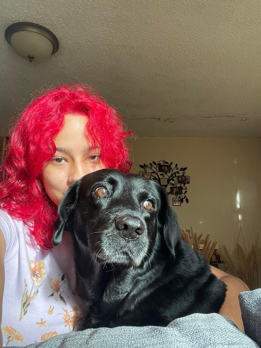 karizgg's tweet photo. Happy birthday to the bestest doggo ever, my best friend, who desperately needs new pictures. Perla, love you in ways I could never explain. Thanks for keeping me alive ❤️ https://t.co/xWmGcjxlOn