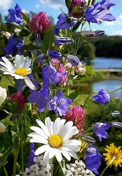 Валентина Домарева tweet media