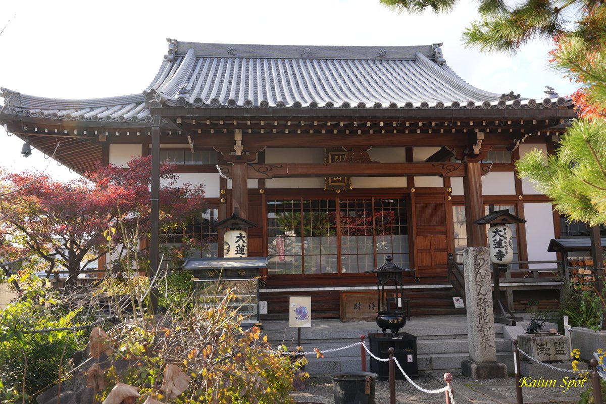 tabigoshuin's tweet photo. #京都 #天台宗 の #行願寺 通称 #革堂 (こうどう)

✅ #洛陽三十三所観音霊場 第8番
　ご本尊は本堂脇檀の #十一面観音菩薩 
     
✅ 寺院ご本尊は #慈覚大師 の作と言われる
      #阿弥陀如来 

#御朱印  #御朱印巡り #そうだ京都行こう #旅行 
#写真 #神社仏閣 #開運スポット #洛陽３３ https://t.co/osRyA7Vi4l