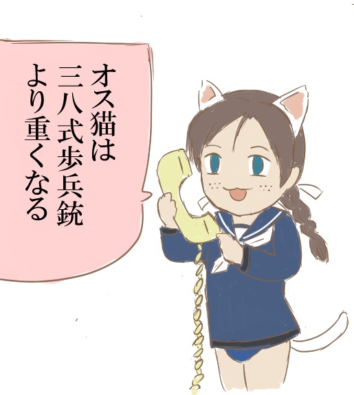 レスポールは三八式歩兵銃殿より重いそうだが。ムスタングやテレキャスは三八式歩兵銃殿よりも軽いらしい。エレキは弟や音楽友達によく触らせてもらったが楽器の重量なんて実際に演ってみないとよく解らん。そして土と油さんの重量の指標は三八式歩兵銃殿である。 