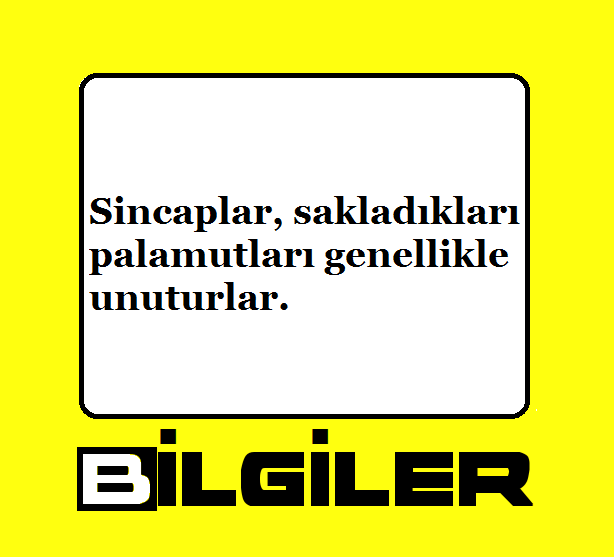 Bilgilertr's tweet photo. https://t.co/Ug6Xx5V4y9