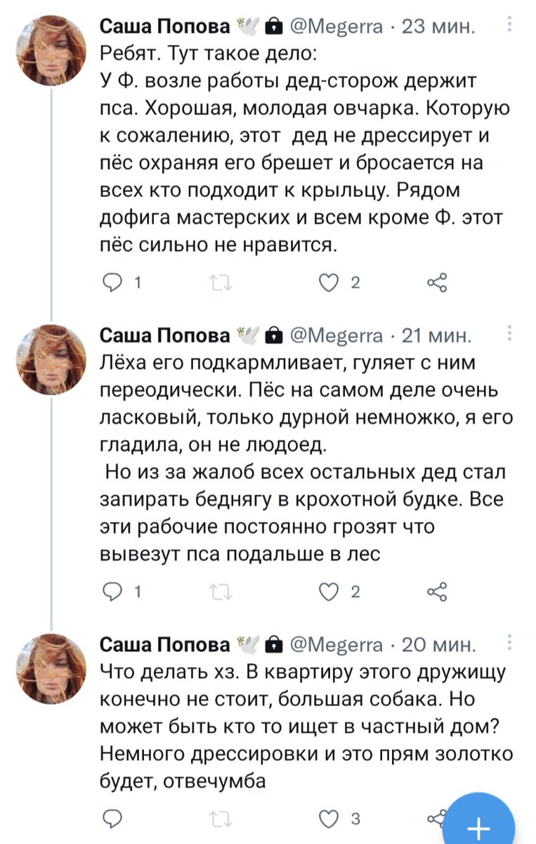 Ярость и Мультифора tweet media
