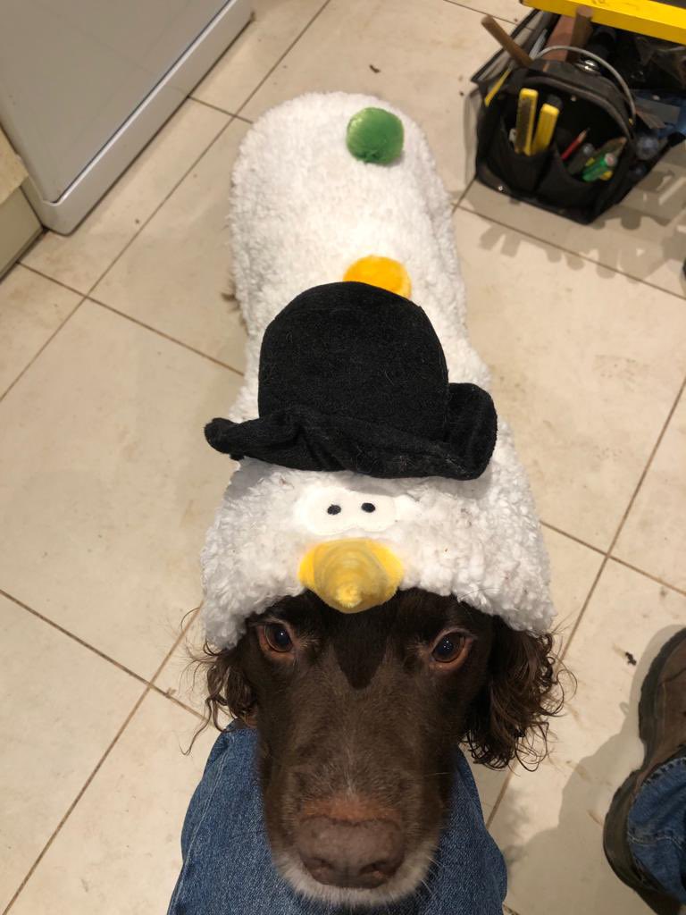 hwtlamb's tweet photo. Not in the slightest bit amused!! https://t.co/REKG6wQjpx