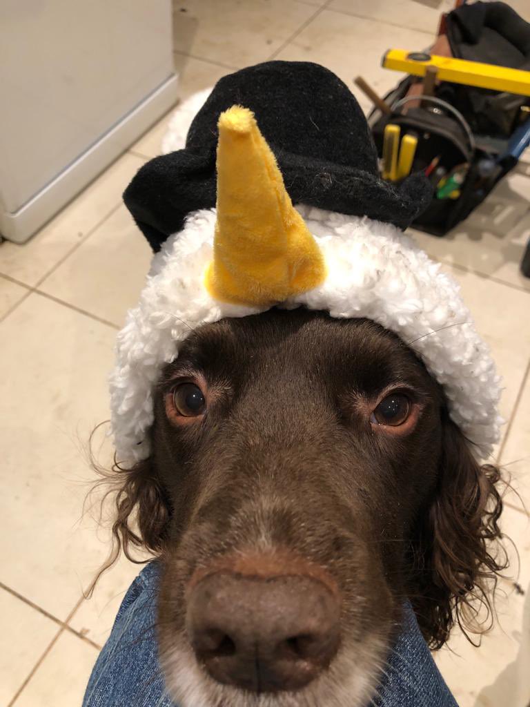 hwtlamb's tweet photo. Not in the slightest bit amused!! https://t.co/REKG6wQjpx