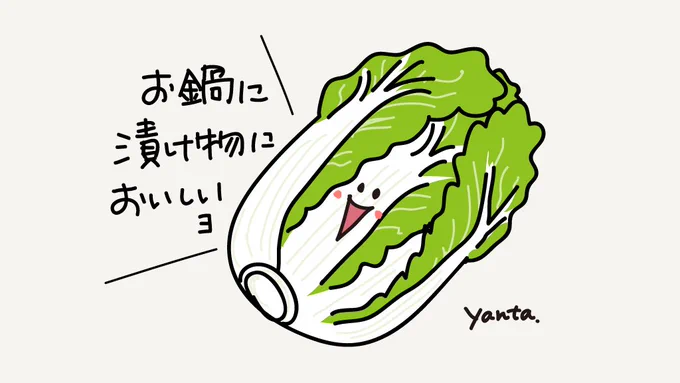 冬の野菜といったらやっぱり白菜ね#白菜 #イラスト #食べ物イラスト 