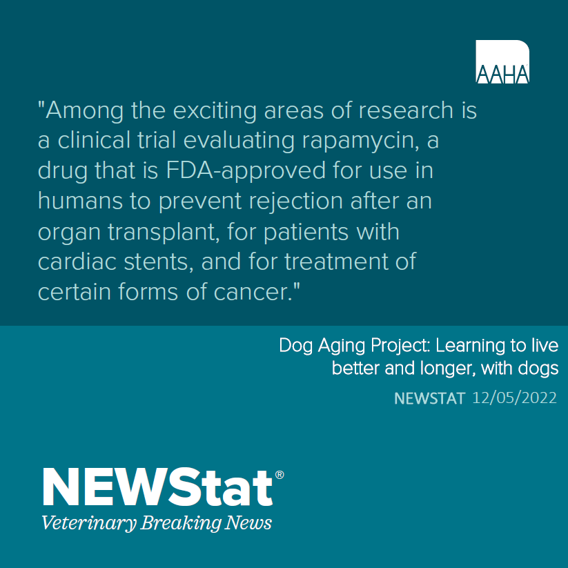 Tweet by American Animal Hospital Association